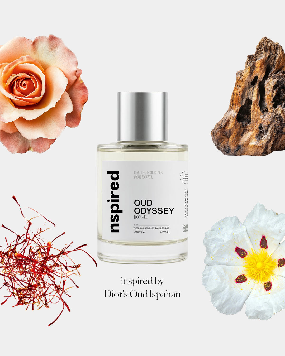 Oud Odyssey
