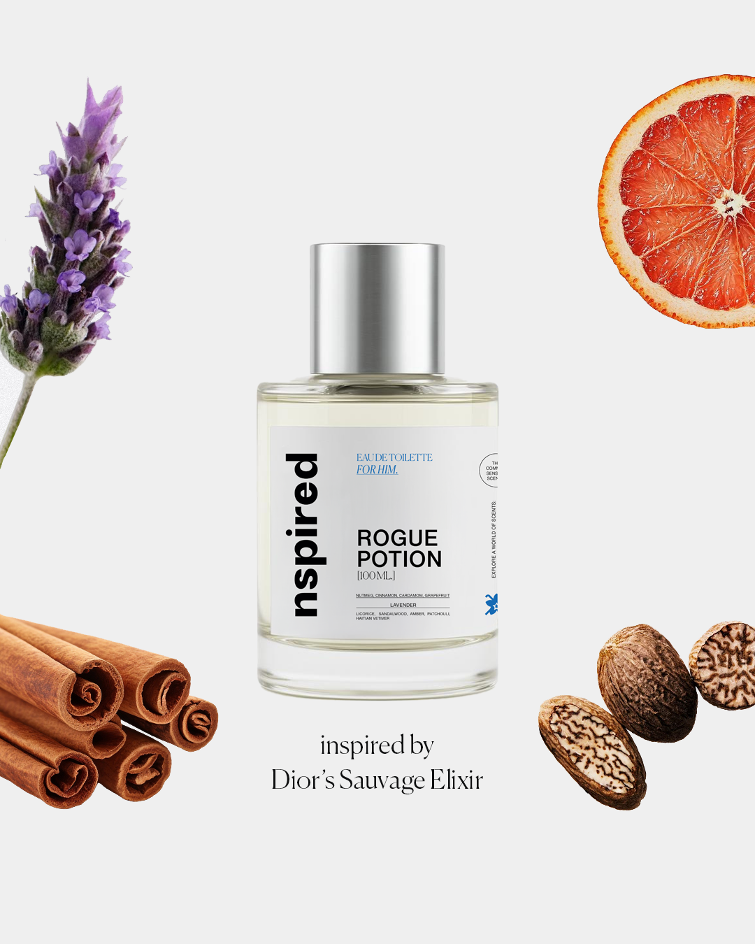 Rogue Potion